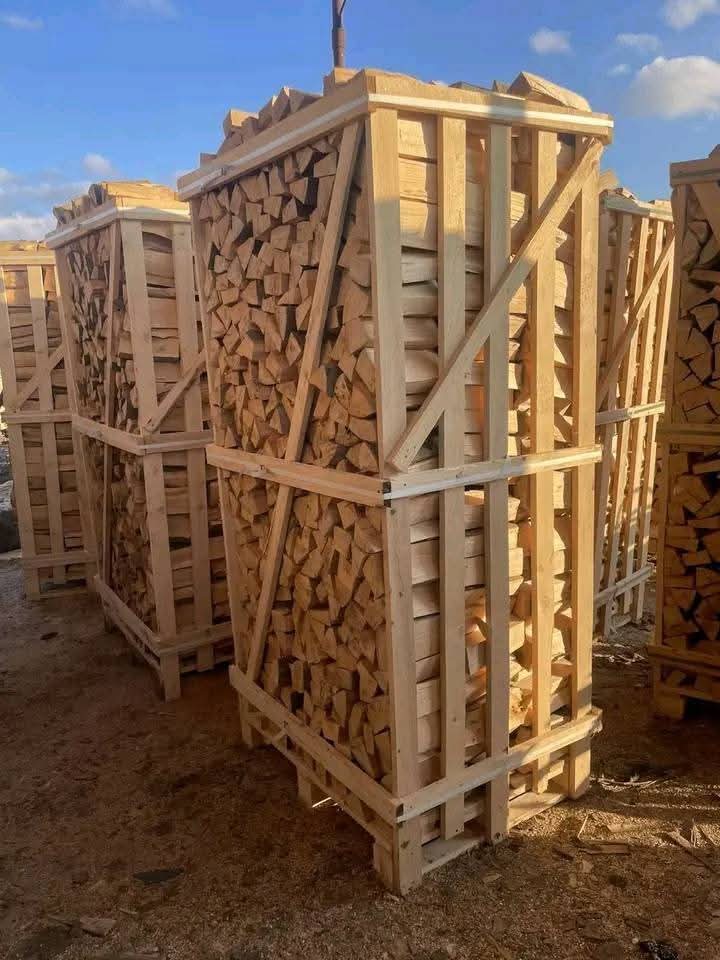 Premium Buchenholz 55 RM – Kammergetrocknetes Brennholz