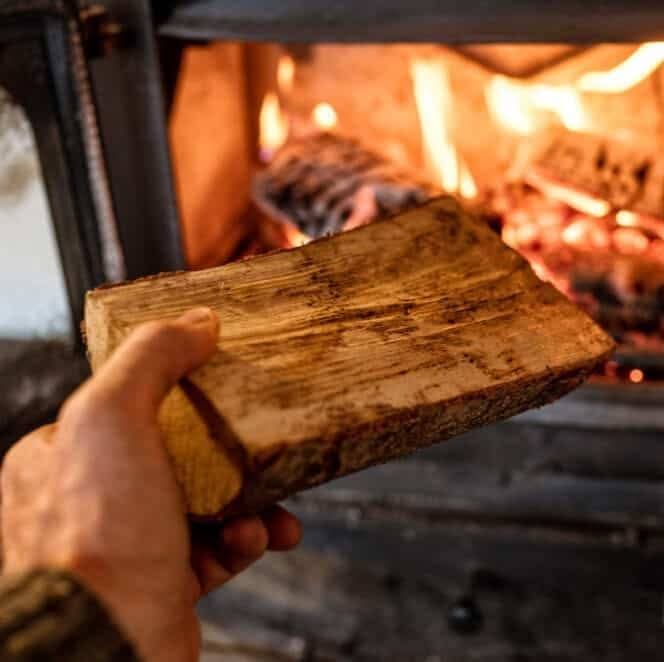 Premium Buchenholz 55 RM – Kammergetrocknetes Brennholz