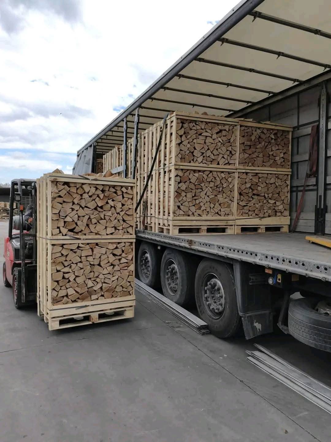 Premium Buchenholz 44 RM – Kammergetrocknetes Brennholz